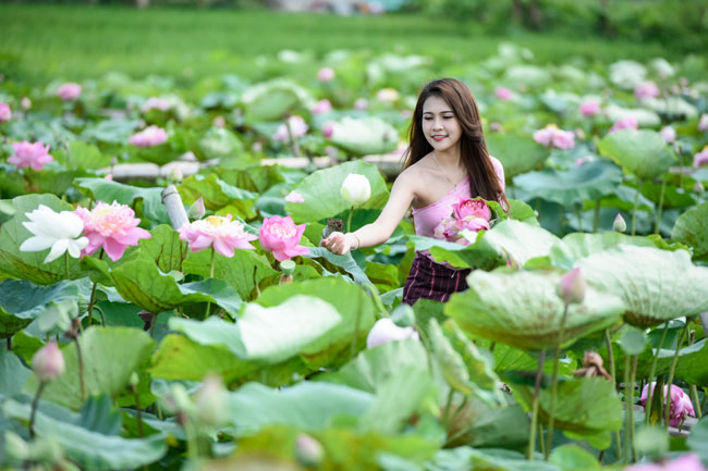 Thiếu nữ L&agrave;o khoe d&aacute;ng ngọc b&ecirc;n sen đầu hạ - Ảnh 14.