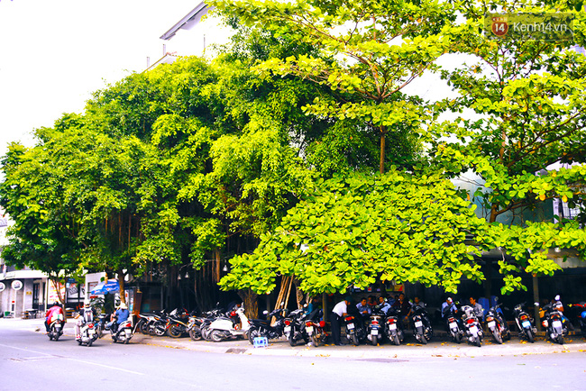 Xóm nước đen ngày ấy và chuyện 13 con đường mang tên các loài hoa ở khu Phan Xích Long Sài Gòn - Ảnh 15.