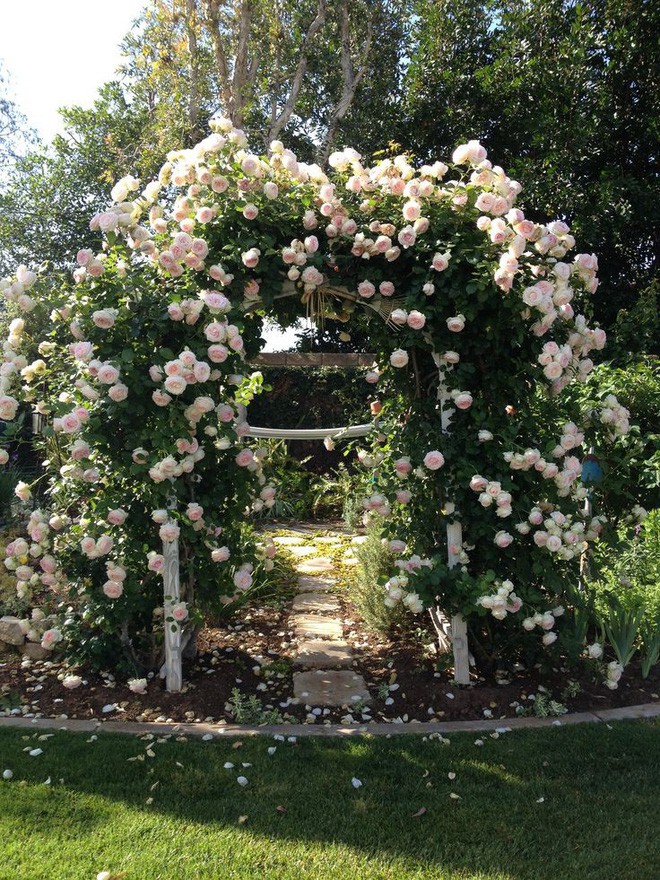Chiêm ngưỡng vẻ đẹp lộng lẫy của những chiếc cổng nhà tràn ngập hoa - Ảnh 14.