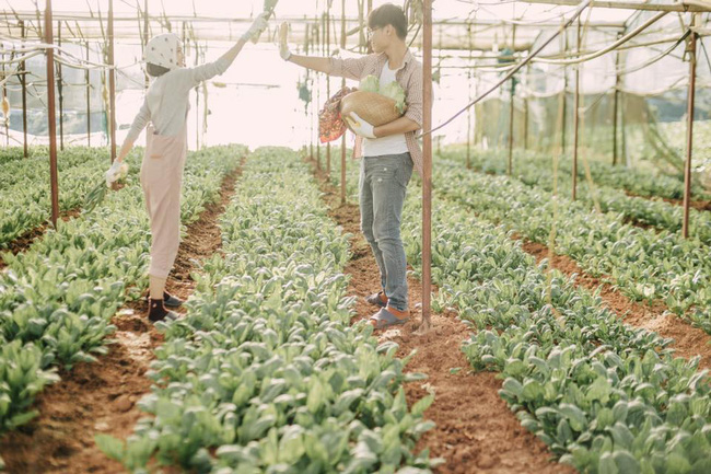 Chỉ cần yêu nhau thật nhiều thì ảnh cưới chụp ở... vườn rau cũng khiến người ta xuýt xoa - Ảnh 18.