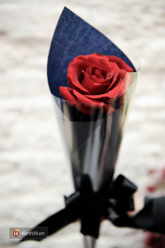 Đừng chỉ biết mỗi hoa hồng, Valentine năm nay còn rất nhiều loài hoa cực xinh để bạn tặng nàng! - Ảnh 19.