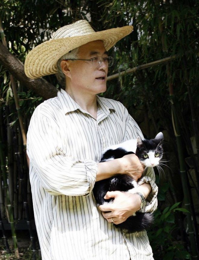 Tổng thống Moon Jae In tiết lộ về Đệ nhất Mèo Hàn Quốc - Ảnh 3.