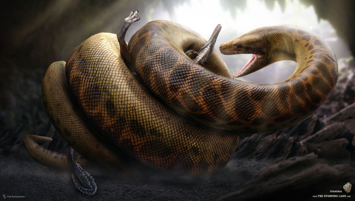 Hãy khám phá khả năng săn mồi phi thường của một rắn khổng lồ đáng sợ. Chúng ta sẽ được chiêm ngưỡng cảnh tượng hấp dẫn khi con rắn này săn mồi và ăn thịt một con người. Đừng bỏ lỡ khoảnh khắc kinh hoàng này trên hình ảnh.