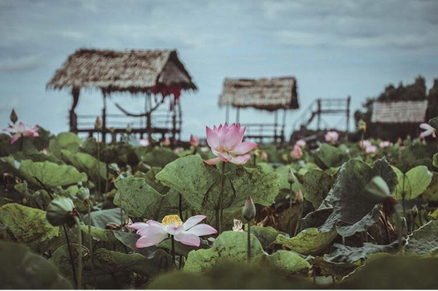 Thu sang, hãy thử quên lá vàng miền Bắc để về với miền Tây đón mùa nước nổi - Ảnh 21.