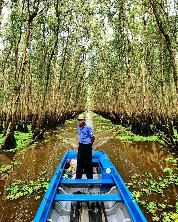 Thu sang, hãy thử quên lá vàng miền Bắc để về với miền Tây đón mùa nước nổi - Ảnh 4.