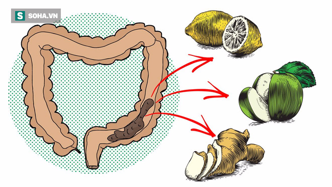 BS nổi tiếng Nhật Bản đúc kết cách sống không bệnh tật chỉ bằng ăn, tập, thở, ngủ - Ảnh 4.