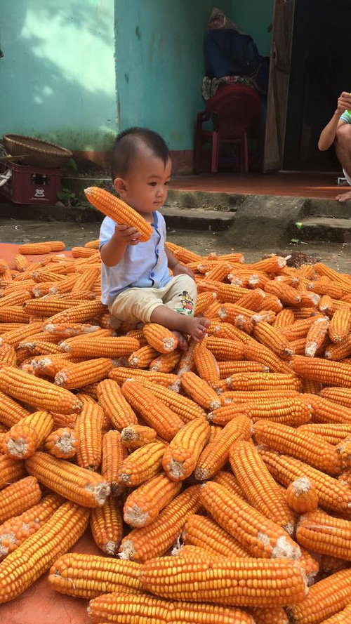 Rơi nước mắt trước lời tâm sự nhói lòng của người mẹ ung thư từ chối điều trị để giữ con - Ảnh 4.