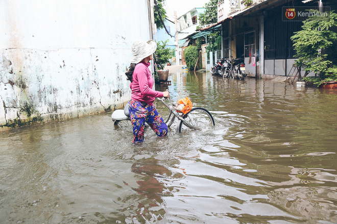 Cảnh tượng bi hài của người Sài Gòn sau những ngày mưa ngập: Sáng quăng lưới, tối thả cần câu bắt cá giữa đường - Ảnh 4.