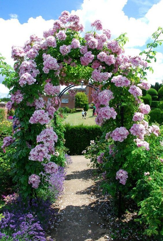Chiêm ngưỡng vẻ đẹp lộng lẫy của những chiếc cổng nhà tràn ngập hoa - Ảnh 4.