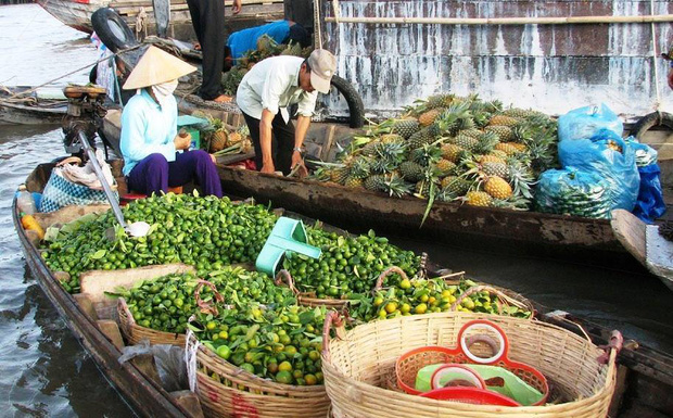 Thu sang, hãy thử quên lá vàng miền Bắc để về với miền Tây đón mùa nước nổi - Ảnh 35.