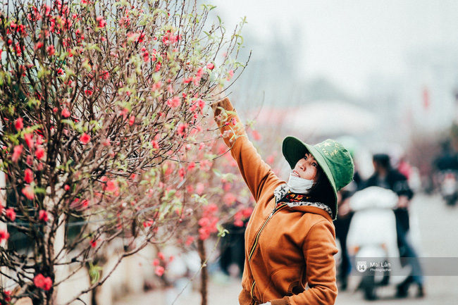 Năm nay đào nở sớm, ai cũng thấy Tết đang đến rất gần! - Ảnh 5.