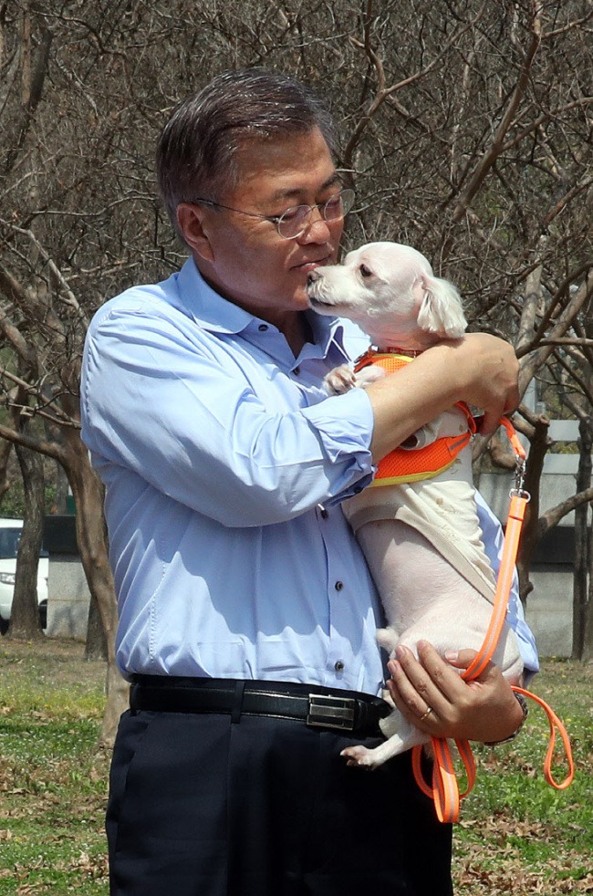 Tổng thống Moon Jae In tiết lộ về Đệ nhất Mèo Hàn Quốc - Ảnh 5.