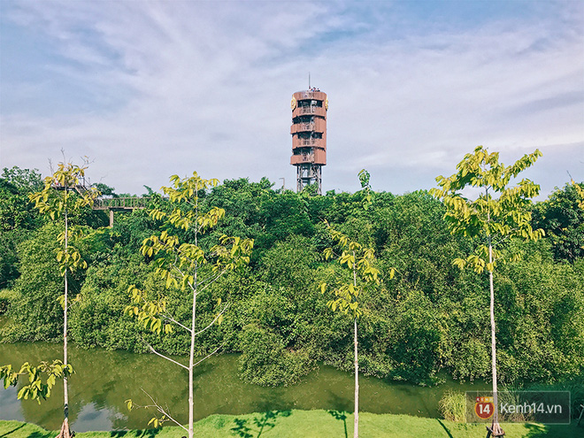 Đến Bangkok, đừng quên ghé khu rừng thần tiên được xây từ... bãi rác của người Thái - Ảnh 5.