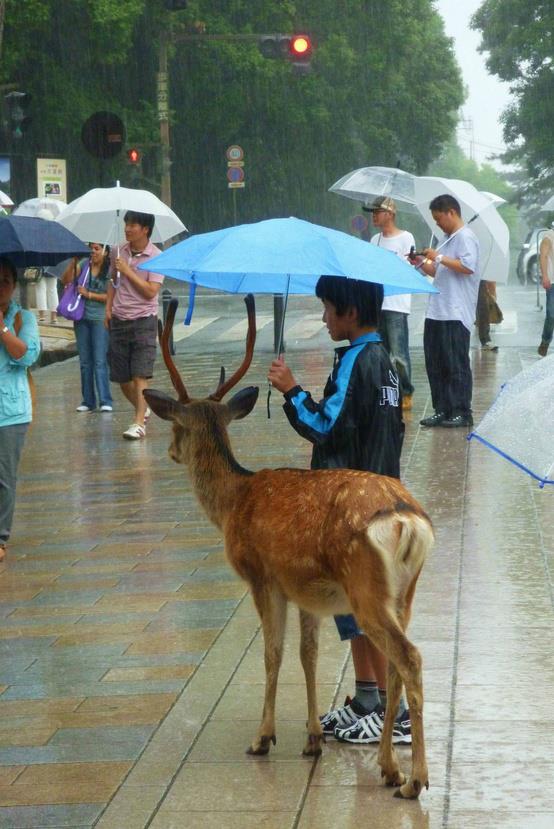 Loạt ảnh các dân chơi trời bão: Mưa gió cũng không làm nhụt chí ra ngoài đường - Ảnh 5.