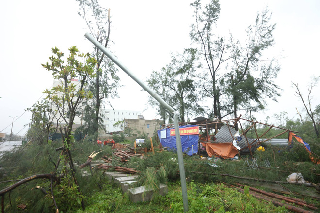 7 người thương vong ở Quảng Bình, 2 tàu chìm ở Quảng Ninh, Nghệ An - Hà Tĩnh tan hoang sau bão - Ảnh 24.