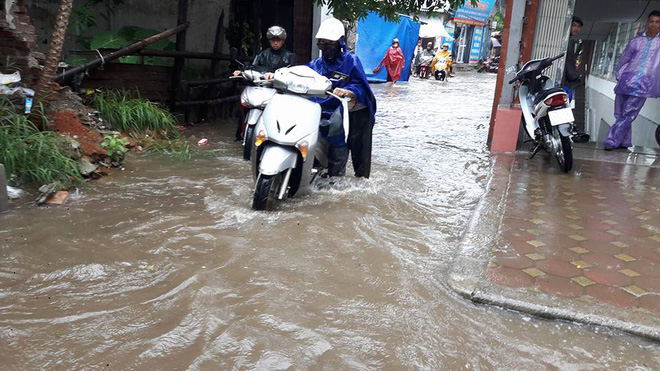 Hà Nội: Nơi mưa ngập trắng băng, dân thi nhau bắt cá, nơi chỉ đủ ướt đường - Ảnh 17.