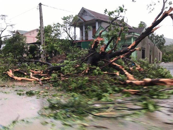 7 người thương vong ở Quảng Bình, 2 tàu chìm ở Quảng Ninh, Nghệ An - Hà Tĩnh tan hoang sau bão - Ảnh 7.