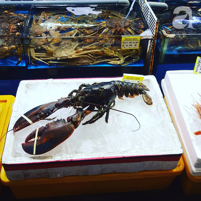 Đi Seoul mà mê hải sản, nhất định phải đến chợ Norangjin - Ảnh 6.