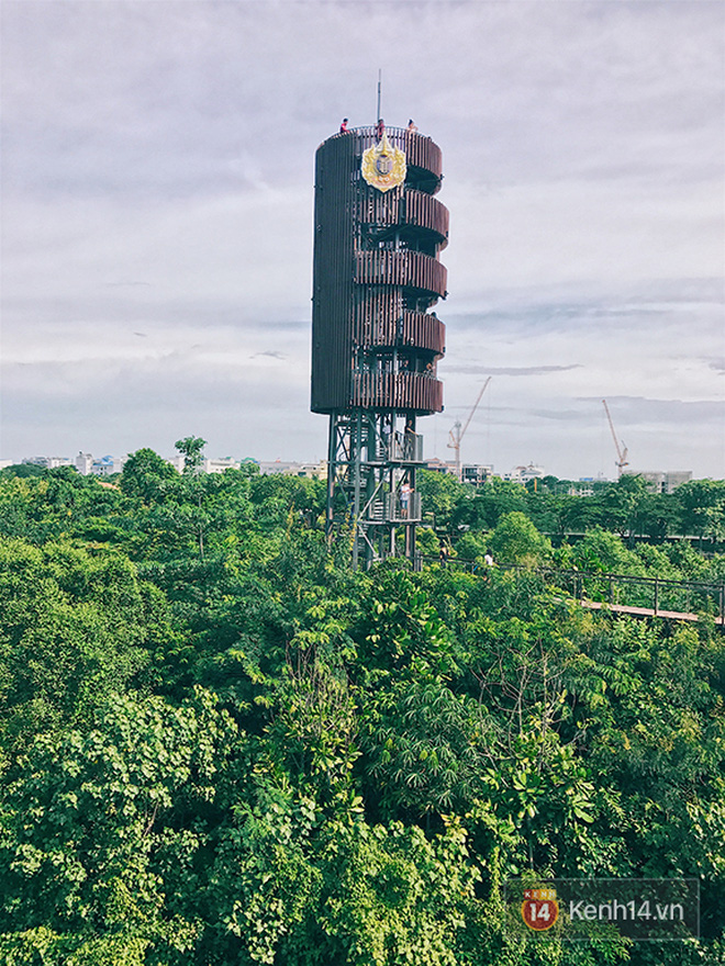 Đến Bangkok, đừng quên ghé khu rừng thần tiên được xây từ... bãi rác của người Thái - Ảnh 7.