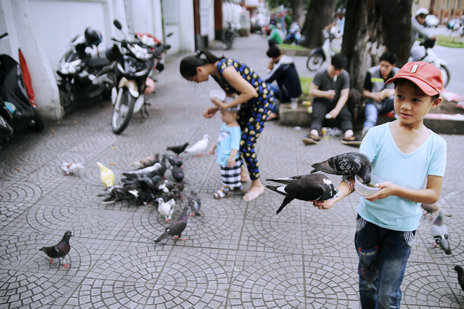 Người nhuộm màu cho đàn bồ câu ở nhà thờ Đức Bà gây tranh cãi: Chúng tôi chỉ muốn đàn bồ câu thêm sinh động - Ảnh 8.