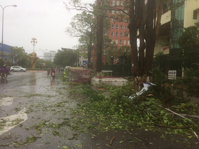 7 người thương vong ở Quảng Bình, 2 tàu chìm ở Quảng Ninh, Nghệ An - Hà Tĩnh tan hoang sau bão - Ảnh 16.