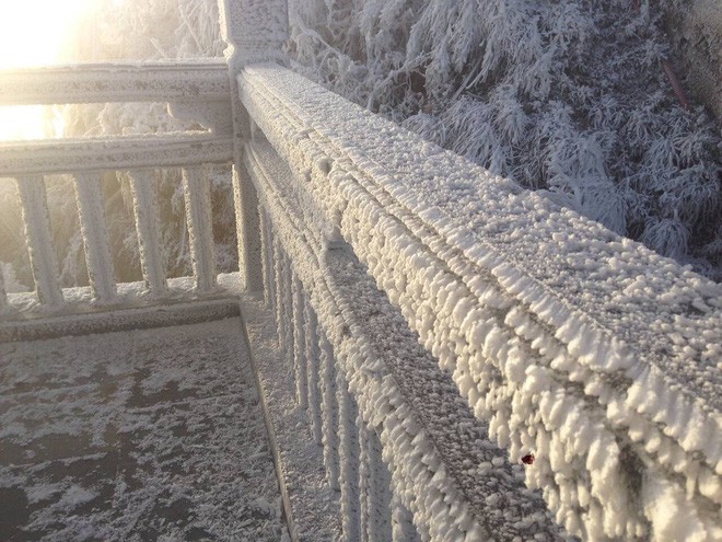 Đỉnh Fansipan trắng xóa băng tuyết khi nhiệt độ trong đêm giảm xuống -7 độ C - Ảnh 7.