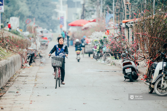 Năm nay đào nở sớm, ai cũng thấy Tết đang đến rất gần! - Ảnh 8.