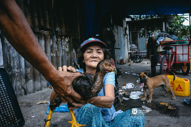 Hai ông bà ve chai gặp nhau giữa Sài Gòn, cùng về chung một nhà và nuôi lũ con toàn gà, chó, thỏ - Ảnh 8.