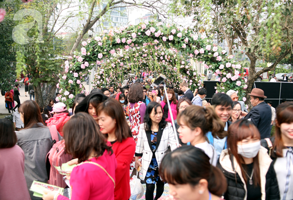 Lễ hội hoa hồng ở Hà Nội: Hàng nghìn người đội nắng xếp hàng vào cửa - Ảnh 24.