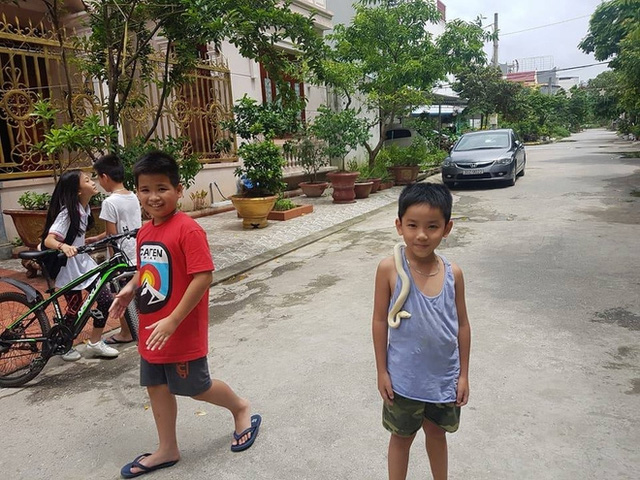 Hải Phòng: Bố mẹ nuôi trăn làm thú cưng, con trai 8 tuổi cứ tối đến là bế lên giường ngủ - Ảnh 9. Hải Phòng: Bố mẹ nuôi trăn làm thú cưng, con trai 8 tuổi cứ tối đến là bế lên giường ngủ - Ảnh 9.