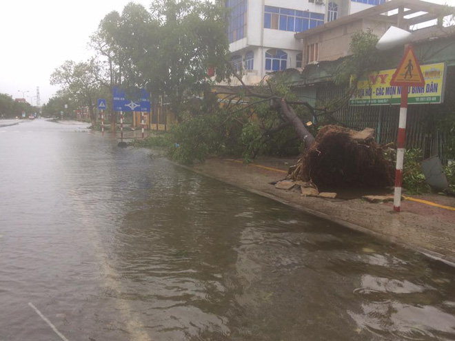 7 người thương vong ở Quảng Bình, 2 tàu chìm ở Quảng Ninh, Nghệ An - Hà Tĩnh tan hoang sau bão - Ảnh 19.