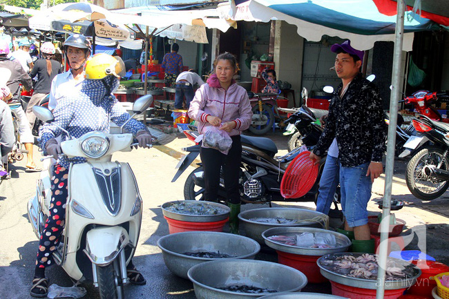 Kiếm bạc triệu tiền bán cá phóng sinh ngày Rằm tháng Giêng - Ảnh 6.