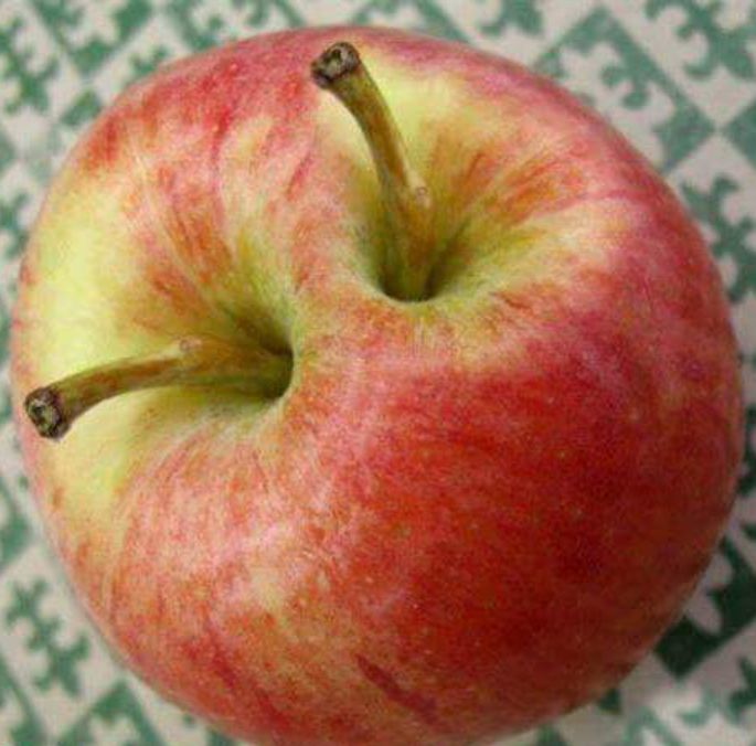 Rau quả cũng c&oacute; l&uacute;c sinh đ&ocirc;i, sinh ba kỳ diệu đến thế n&agrave;y - Ảnh 7.