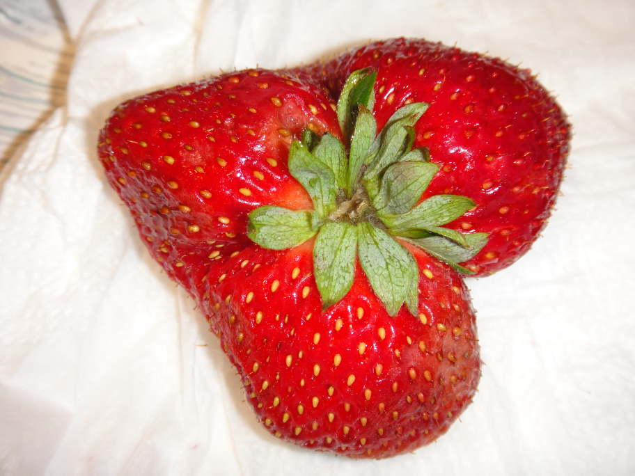 Rau quả cũng c&oacute; l&uacute;c sinh đ&ocirc;i, sinh ba kỳ diệu đến thế n&agrave;y - Ảnh 10.