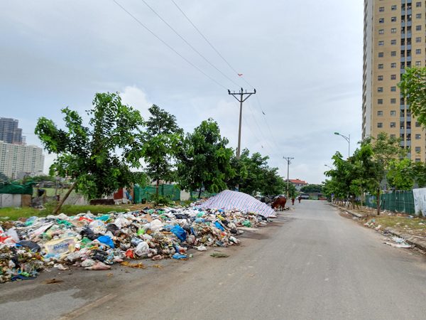 Hà Nội: Cư dân chung cư Nam An Khánh bịt mũi vì núi rác thải hôi thối tấn công suốt 20 ngày - Ảnh 9.