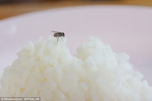 Thấy ruồi đậu lên thức ăn cũng đừng “điên tiết” xách cây đập mà bạn phải lập tức… - Ảnh 2.