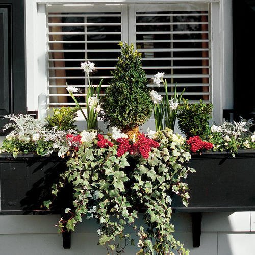 Trang trí cửa sổ xinh lung linh với cách tạo hộp hoa treo đầy hương thơm, màu sắc - Ảnh 10.