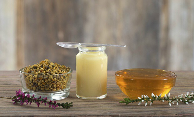 8 lợi ích tuyệt vời của sữa ong chúa đối với sức khỏe, mùa đông này chị em hãy trang bị ngay - Ảnh 3.