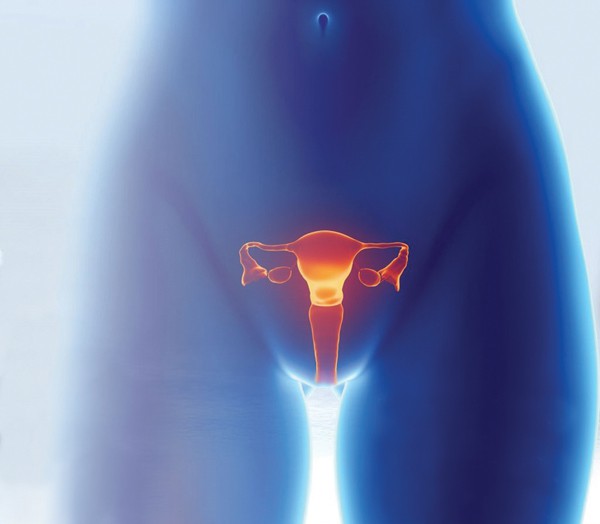 5 điều về suy buồng trứng sớm, là phụ nữ nhất định phải biết - Ảnh 4.