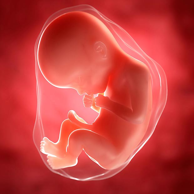 Điều thai nhi sợ hãi nhất khi còn ở trong bụng mẹ và việc mẹ bầu cần tránh - Ảnh 3.