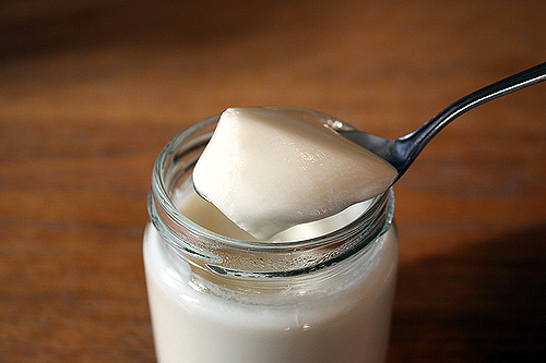 Hộp Sữa Chua Cái Là Gì? Cách Làm Sữa Chua Ngon Sữa Chua Cái Là Gì - Thánh chiến 3D