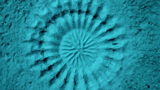 Sự thật gây choáng sau những vòng tròn như dấu tích cổ đại dưới đáy biển   - Ảnh 9.