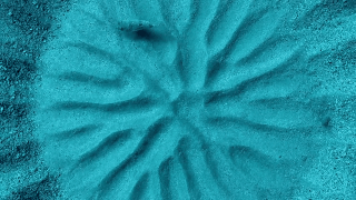 Sự thật gây choáng sau những vòng tròn như dấu tích cổ đại dưới đáy biển   - Ảnh 8.