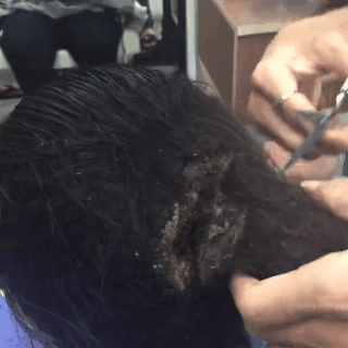 Chủ salon khoe kiểu tóc nữ hoàng Ai Cập tái sinh khiến khách hàng tê tái - Ảnh 6.