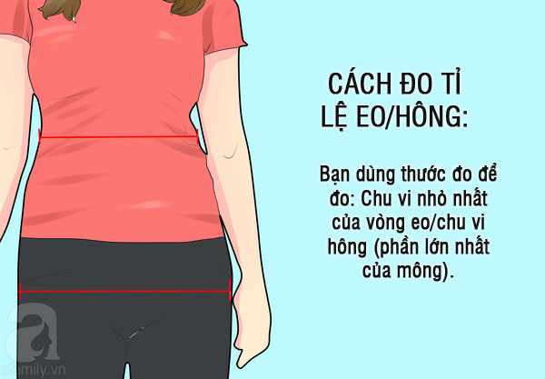 Bạn nên có thân hình quả lê chứ không phải thân hình quả táo để luôn khỏe mạnh - Ảnh 6.