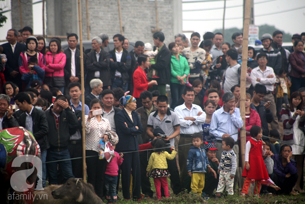 Trang trí lên thân trâu rồi đem ra đồng tại lễ hội Tịch Điền ở Hà Nam - Ảnh 13.