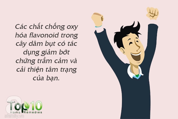 Trà hoa dâm bụt không chỉ có tác dụng chống viêm, giảm huyết áp mà còn giúp giảm cân rất tốt - Ảnh 4.