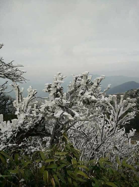 Những hình ảnh đầu tiên về băng giá trên vùng núi Cao Bằng đẹp lung linh như trời Âu - Ảnh 11.