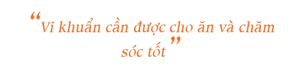 Một vài triệu chứng có thể xuất hiện khi bạn gặp vấn đề về đường ruột - Ảnh 5.