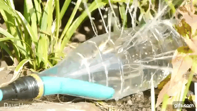 Bỏ túi ngay những ý tưởng tái chế chai nhựa siêu sáng tạo - Ảnh 16.
